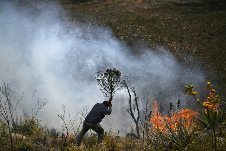 Colombie: l'incendie menaçant un haut lieu touristique en grande partie maîtrisé