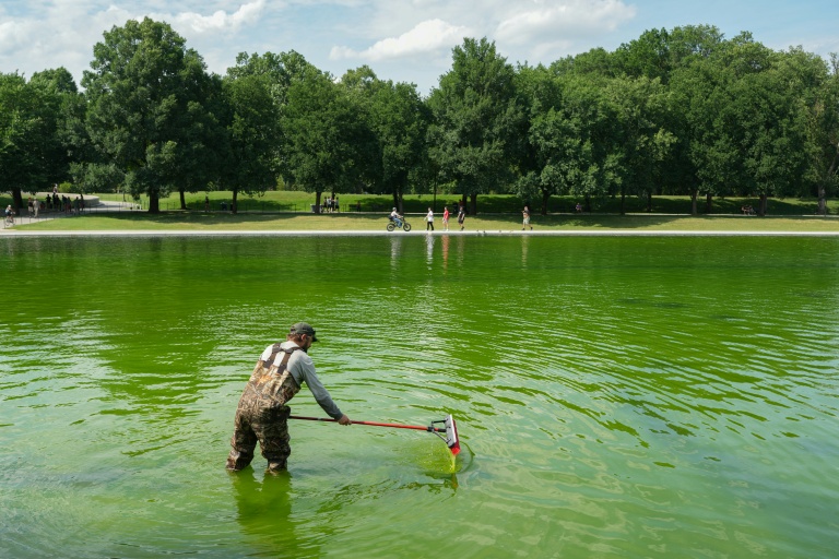Du bleu drapeau au vert fluo: à Washington, la métamorphose d'un bassin cher à Trump