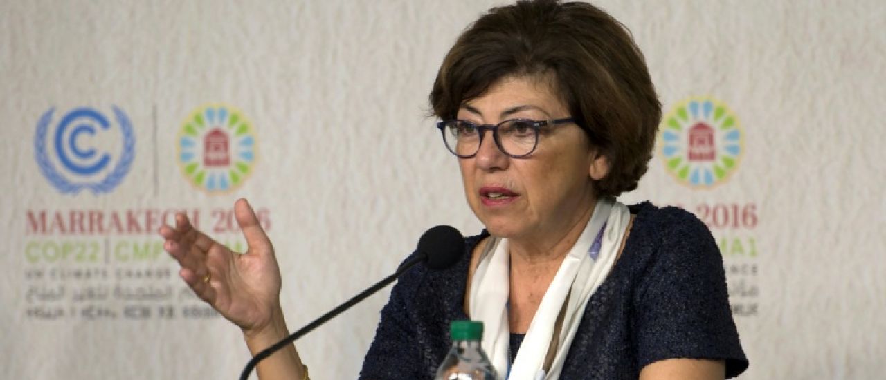 Monique Barbut, une ancienne présidente de WWF à la Transition écologique