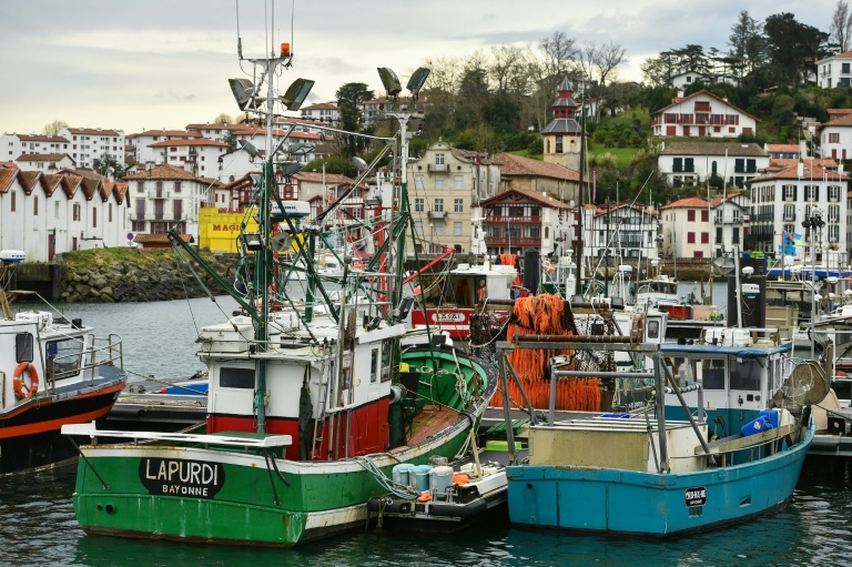 Pour protéger les dauphins, nouveau mois sans pêche en 2027 dans le golfe de Gascogne