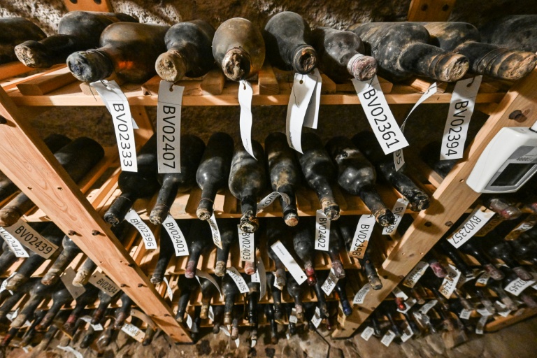 Le sauvetage de bouteilles centenaires du Bordelais, oubliées dans un château de Bohème