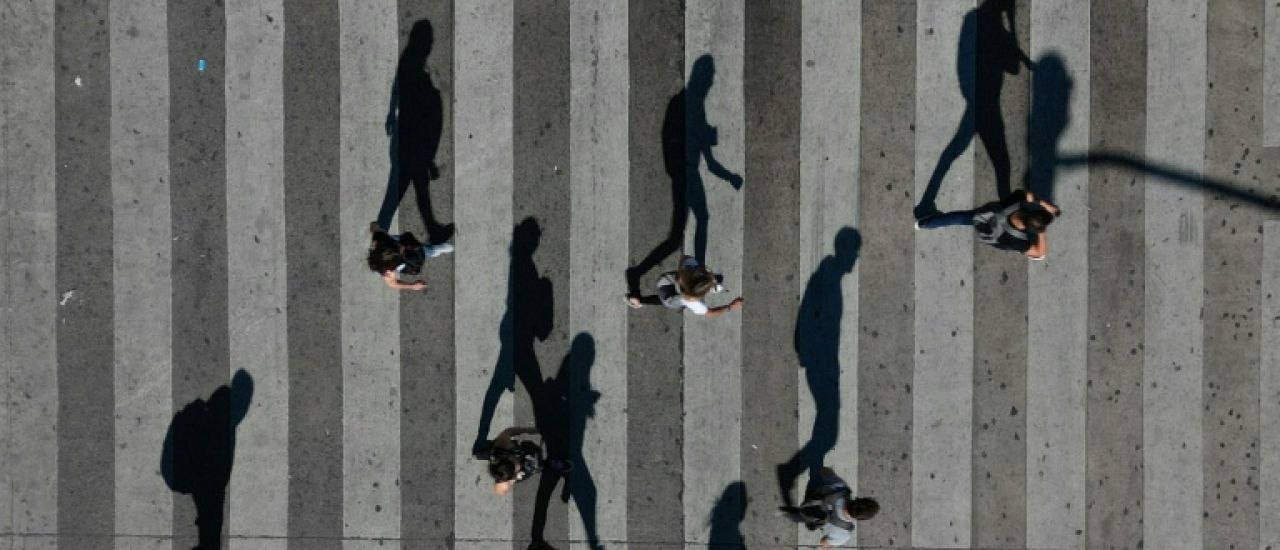 En marchant, les humains bougent plus que tous les animaux sauvages terrestres En marchant, les humains bougent plus que tous les animaux sauvages terrestres
