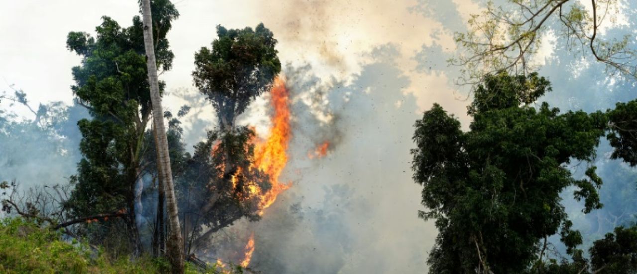Brûlis illégaux et cyclone, un terrain propice pour les feux à Mayotte