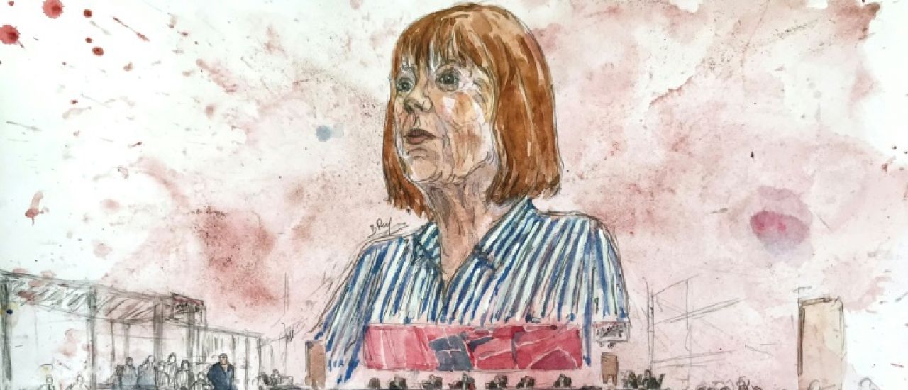 France: au procès en appel des viols de Mazan, Gisèle Pelicot face à un dernier accusé