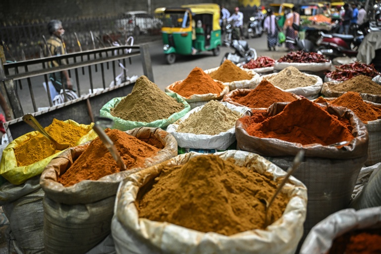Agroalimentaire : à Paris, l'Inde affiche ses ambitions mondiales