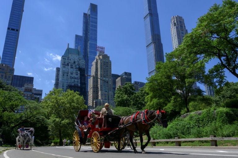 New York vote en faveur de l'interdiction des calèches de Central Park après 20 ans de débats