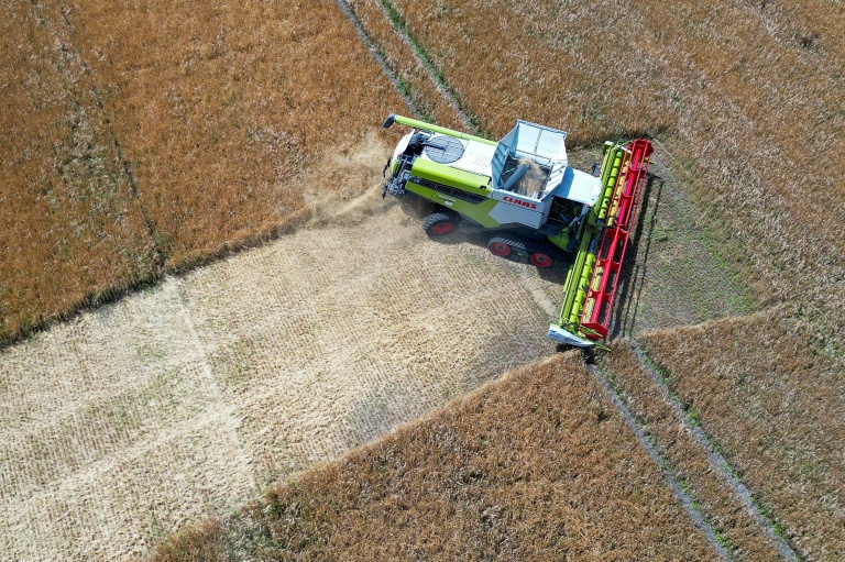 La sécheresse et les guerres font bondir les prix alimentaires en août, selon la FAO