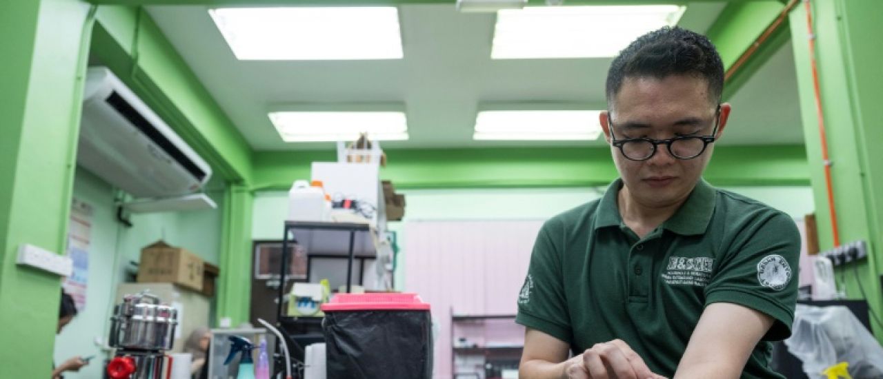 Des scientifiques malaisiens transforment les punaises de lit de fléau en redoutables détectives