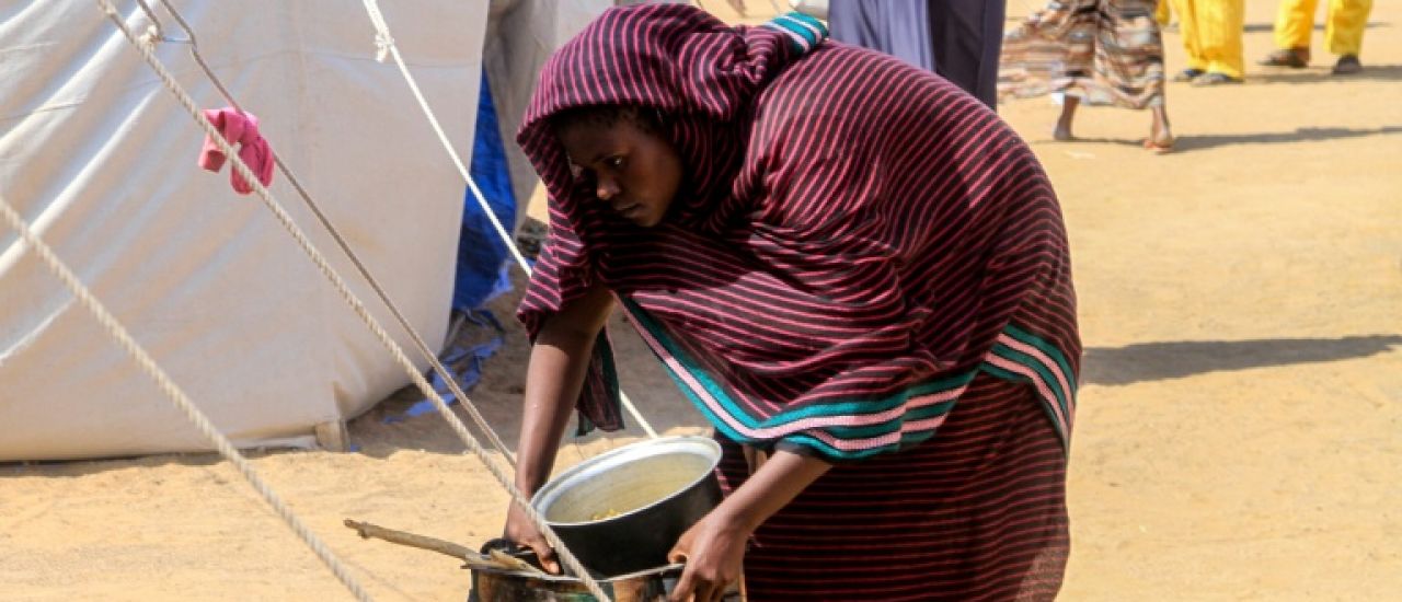 Soudan: plus de 770 km d'exode pour les déplacés d'El-Facher