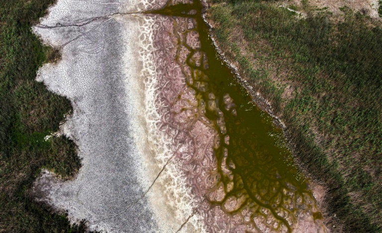 Le lac Velence s'assèche, symbole de la crise de l'eau en Hongrie