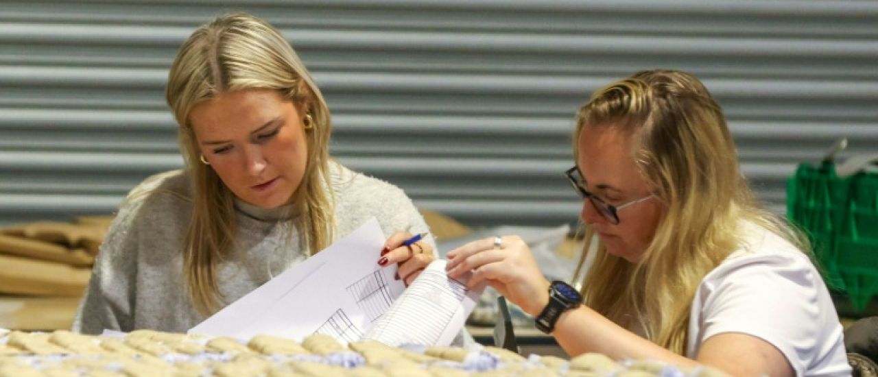 Irlande : victoire écrasante à la présidentielle de la candidate de gauche Catherine Connolly