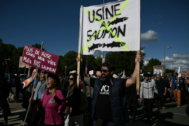 Au Verdon, la mégaferme terrestre à saumons c'est "NON" pour une foule d'opposants