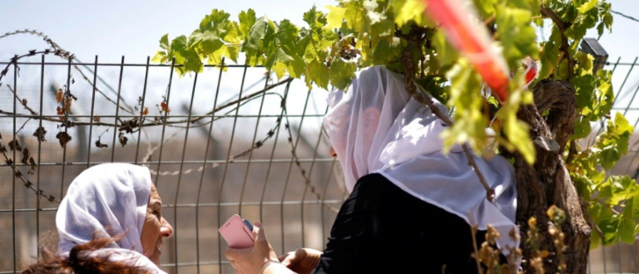 "Comme un rêve": sur le plateau du Golan, des retrouvailles entre druzes