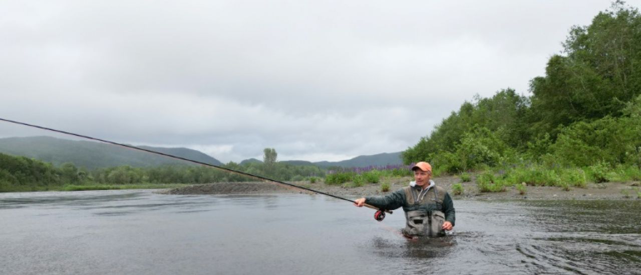 En Norvège, la lente agonie du saumon sauvage face à l'aquaculture