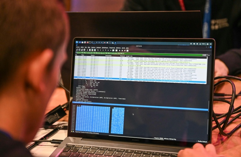 Les lanceurs d'alerte cyber à la poursuite des fuites de données