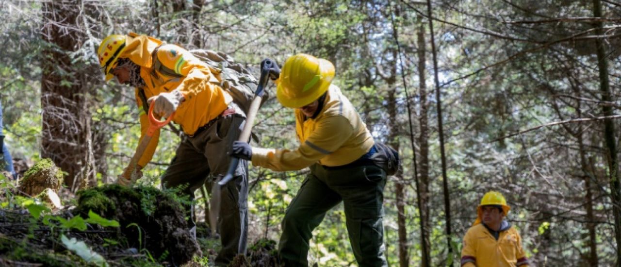 Mexique: opération massive de recherche de corps de disparus Mexique: opération massive de recherche de corps de disparus