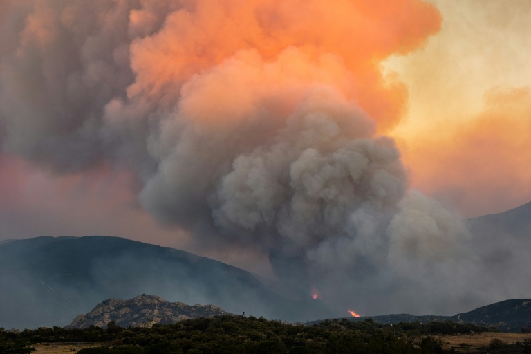 L'incendie des Pyrénées-Orientales n'a pas progressé depuis lundi soir, 12.000 évacués
