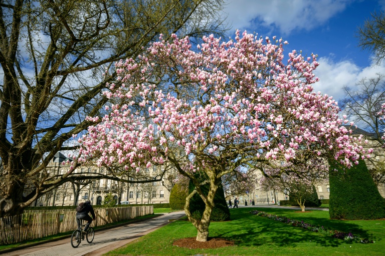 Municipales: moins de voitures, plus de vélos, on continue ?