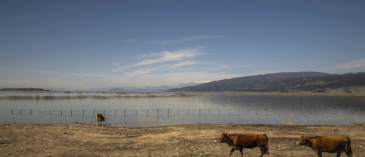 Grèce: vaste coup de filet en lien avec une fraude "systématique" aux aides agricoles européennes