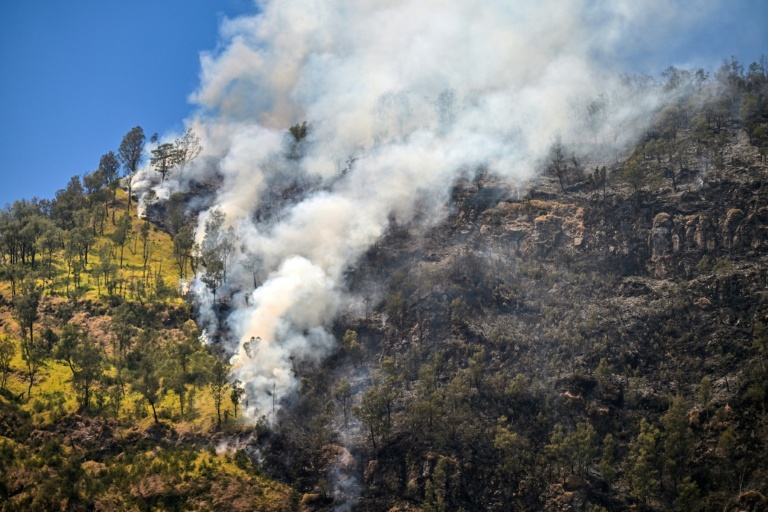 Indonésie : un parc national fermé à Java où des incendies se propagent