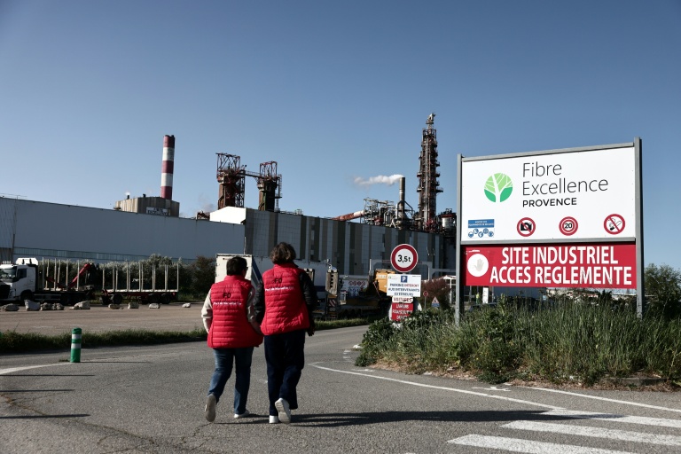 Fibre Excellence: le gouvernement émet des réserves sur le projet de reprise