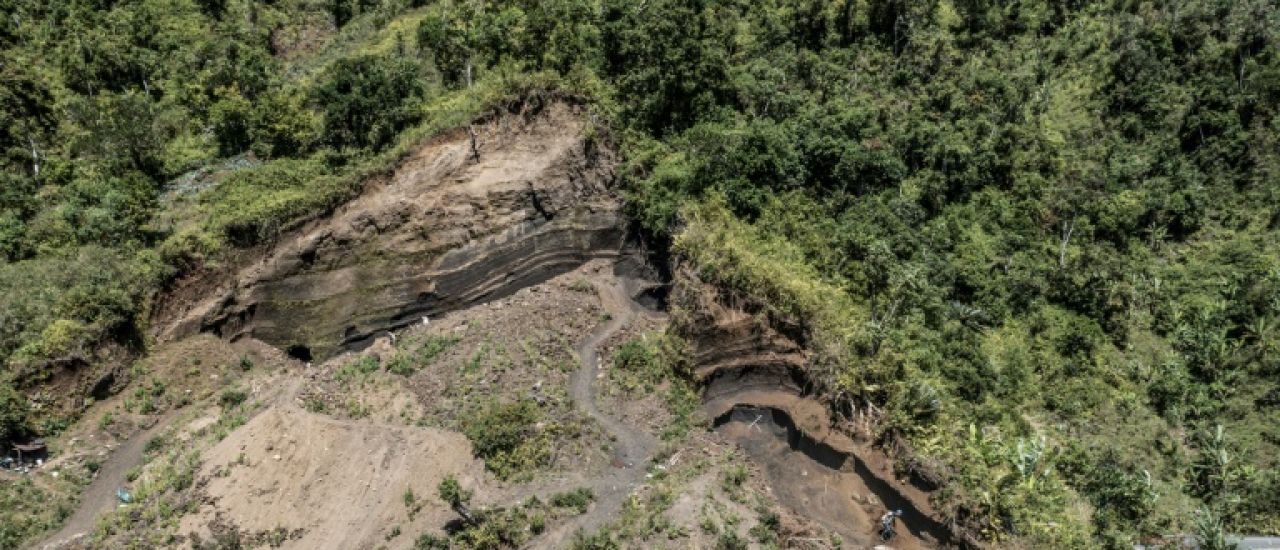 A Anjouan, aux Comores, un sursaut pour sauver la forêt en perdition