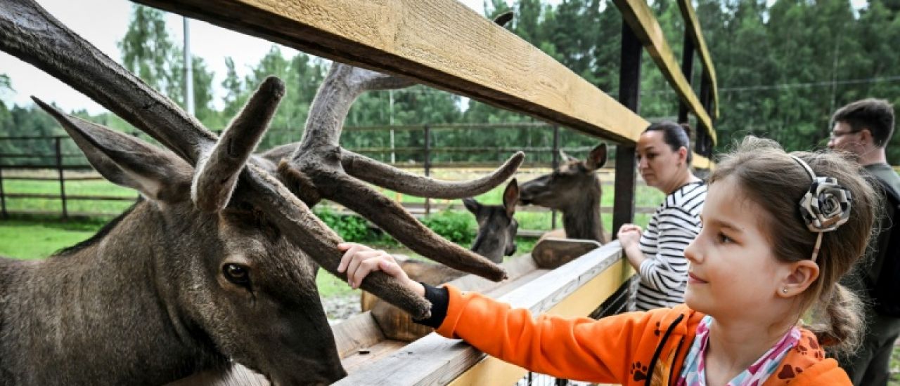 En Russie, la lutte désespérée des écologistes pour sauver un parc national