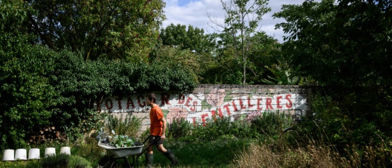 A Dijon, la seule ZAD urbaine de France en sursis