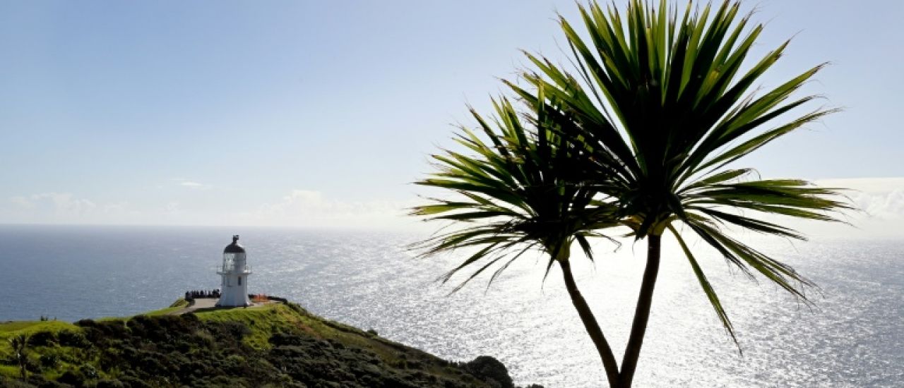 Nouvelle-Zélande: la mer se réchauffe plus rapidement que la moyenne mondiale, selon une étude