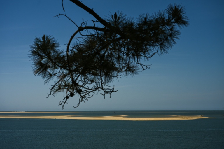 Au large de la dune du Pilat, un "joyau" de biodiversité en péril