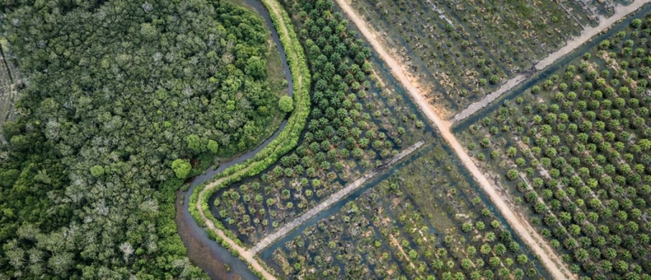 Bruxelles propose d'assouplir sa loi antidéforestation pour faciliter sa mise en oeuvre