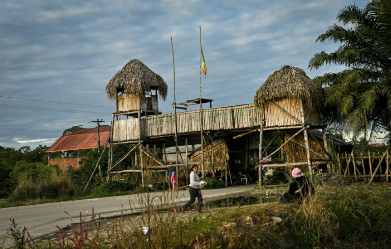 Le Chapare, la région d'Evo Morales qui défie le gouvernement bolivien