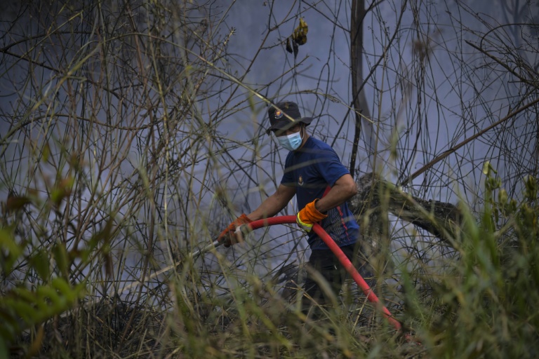 "Vraiment effrayés": à Bornéo, les incendies prennent de vitesse les soldats du feu
