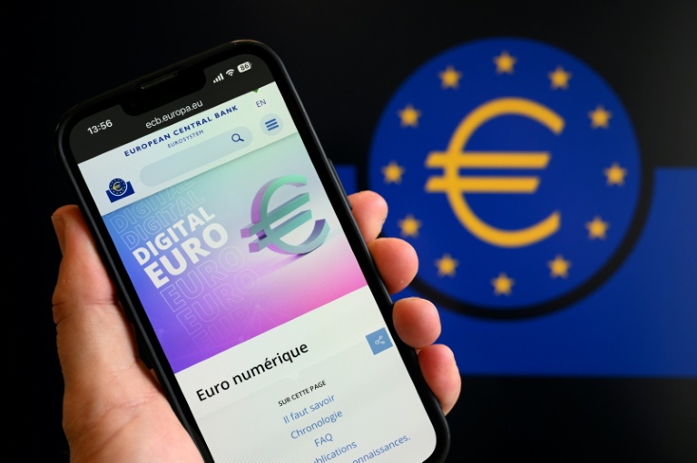 Euro numérique: les entreprises allemandes restent de marbre, selon une étude