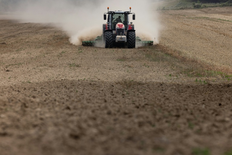 Cadmium: la dépollution des sols agricoles n'est "pas pour demain"