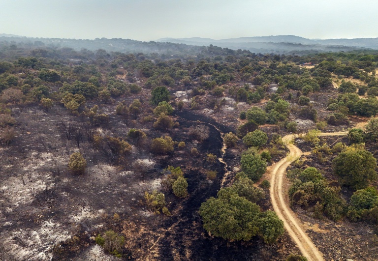Incendies: de nouvelles évacuations ordonnées en France et en Espagne