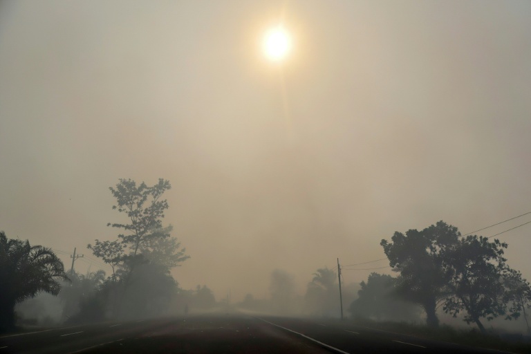 Incendies et canicules menacent la qualité de l'air et la santé, selon l'ONU