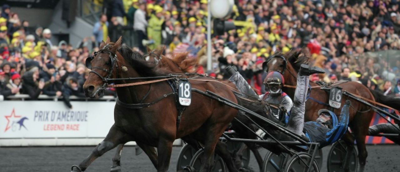 Hippisme : le trotteur Idao de Tillard opéré à deux mois du Prix d'Amérique