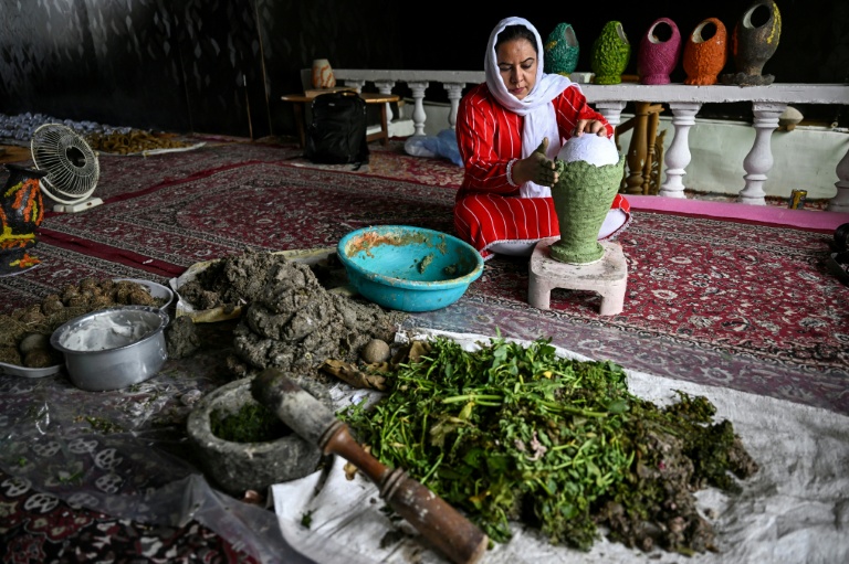 Inde: au Cachemire, les mauvaises herbes transformées en objets de déco