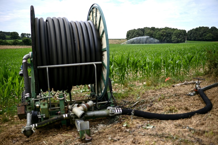 Eau et agriculture, un enjeu crucial sous tension climatique