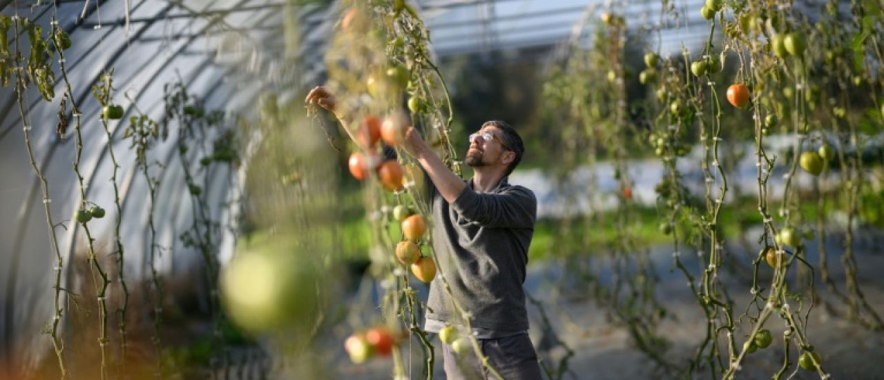 A la ferme, des détenus en fin de peine se réinsèrent pas à pas