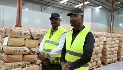 "Etre les géants" de la transformation du cacao, l'ambition de deux jumeaux ivoiriens