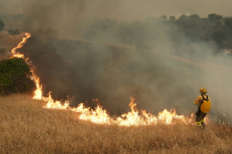 Incendies en Europe : les derniers développements