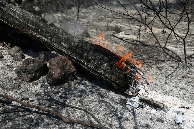 Mégafeu en Gironde: extinction, reconstruction, replantation... Le chantier de l'après