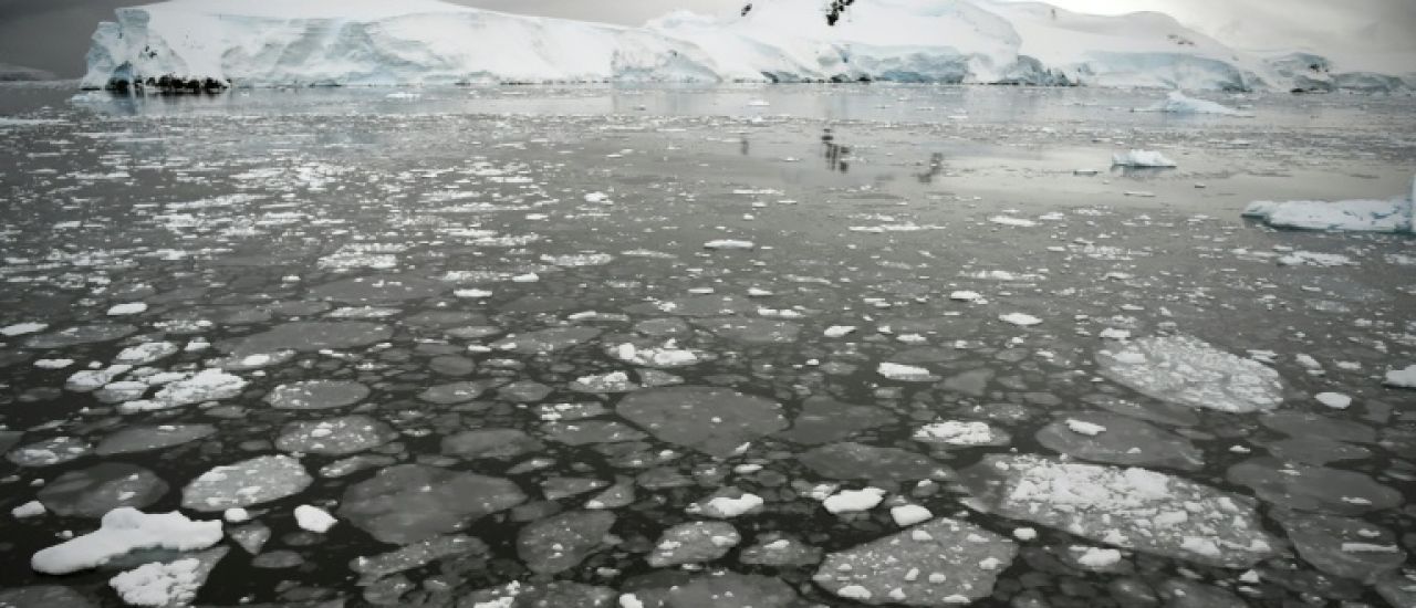 La banquise antarctique atteint son troisième plus bas niveau en un demi-siècle