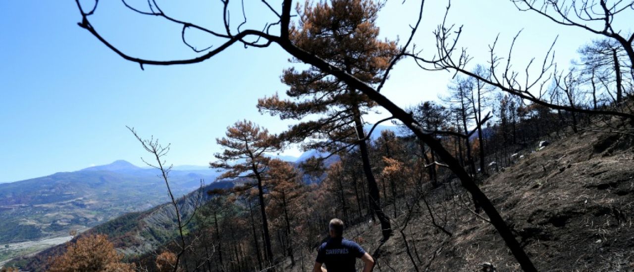 Après des incendies monstres, l'Albanie doit repenser l'avenir de ses forêts