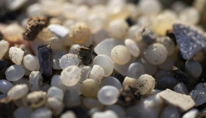 De l'usine à la plage, les tribulations d'un granulé de plastique qui fait pleurer les sirènes