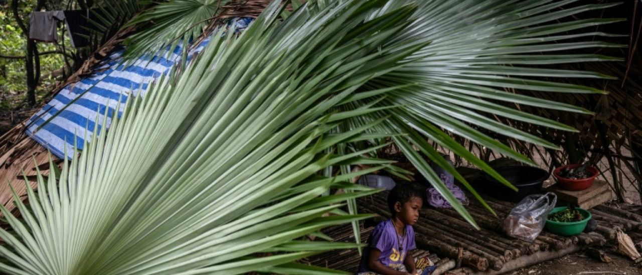 Les derniers chasseurs-cueilleurs de Thaïlande revendiquent leur droit aux terres