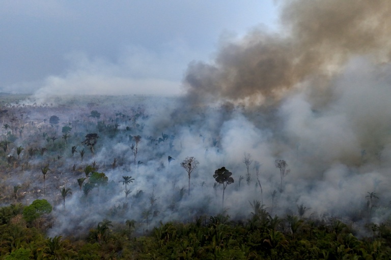 Les feux à un niveau historiquement bas en 2025 en Amazonie brésilienne