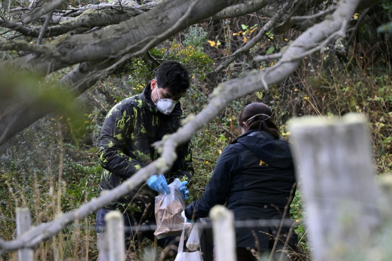 Hantavirus: la mission à Ushuaïa a capturé environ 150 rongeurs, analyses à venir
